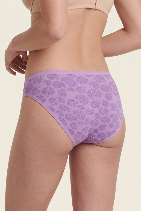 Zivame Regular Rise Full Coverage Bikini Panty (Pack of 3) - Multicolor — image 4